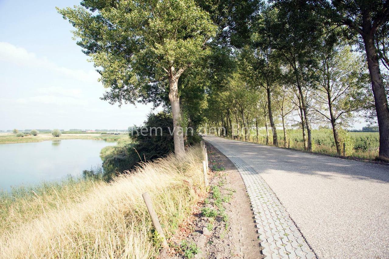Отель Tilias Ellewoutsdijk Экстерьер фото